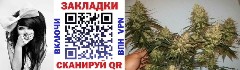 Где можно купить наркотики Алексин Псилоцибиновые грибы  АМФЕТАМИН  mega зеркало  Канабис  Кокаин  СОЛЬ  Мефедрон 