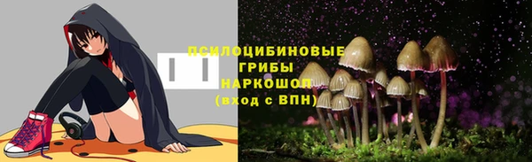 apvp Абаза
