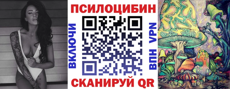 hydra ссылка  сколько стоит  Алексин  Псилоцибиновые грибы Magic Shrooms 